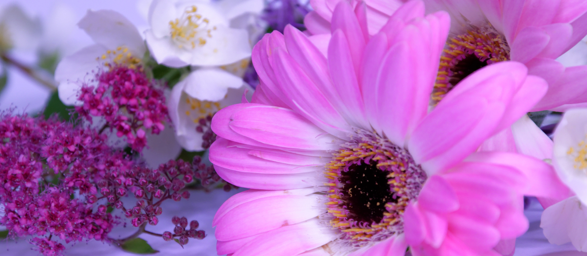 flowers_banner