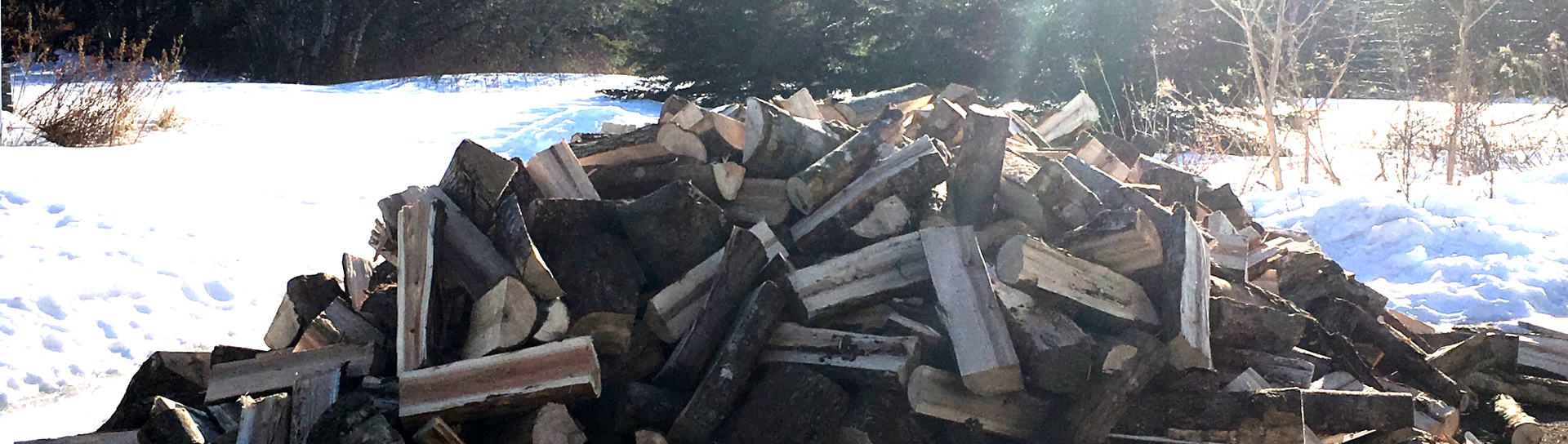 Wood Pile